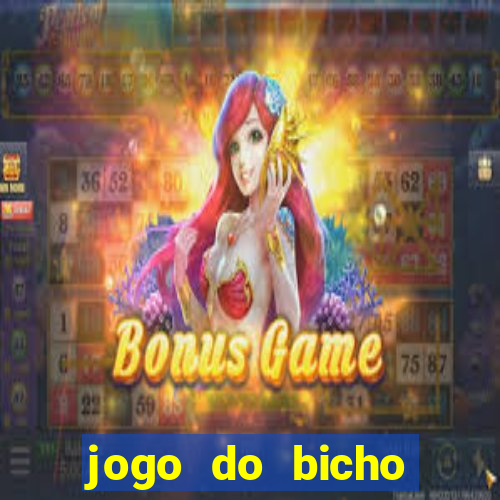 jogo do bicho crash bingo